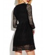 Sexy Lace See-through V-neck Long Sleeve Mini Dress For Women